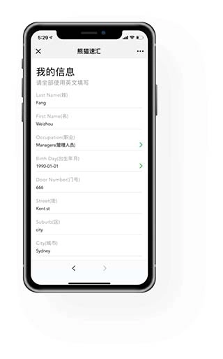 熊猫速汇软件下载