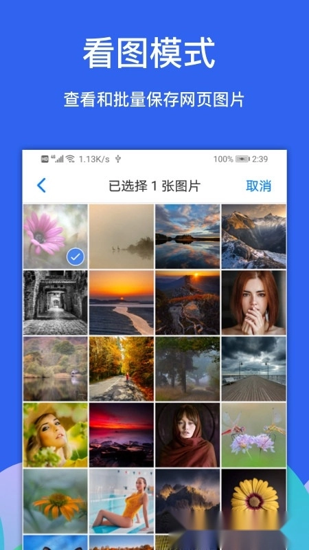 alook浏览器最新版(3)