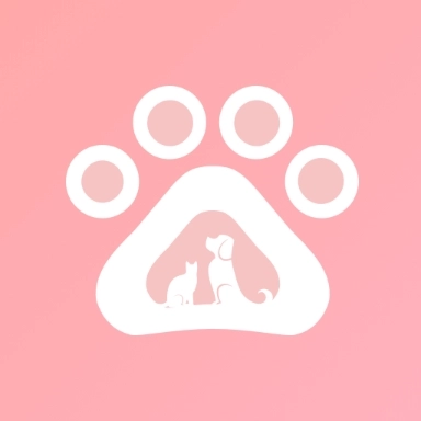 喵语翻译器手机版 v5.6.8