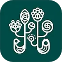 野兽派鲜花2025手机版