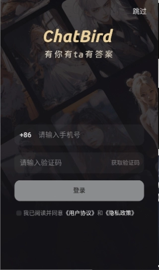 ChatBird图4