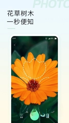 智能拍照识物图2
