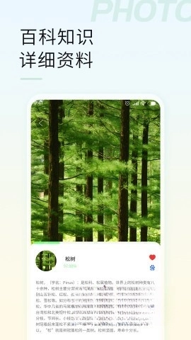 智能拍照识物图4