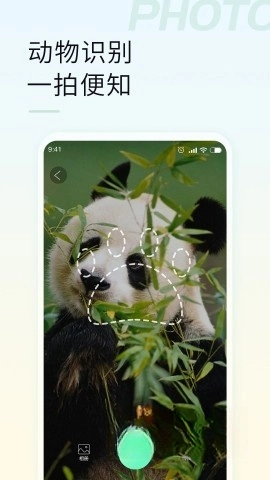 智能拍照识物图3