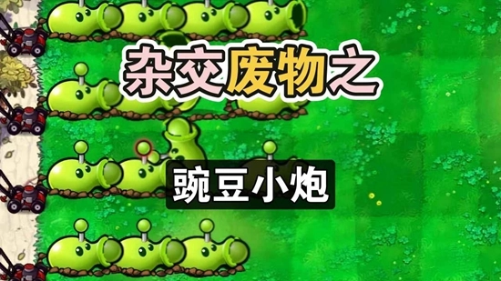 废物大战僵尸游戏手机版图1