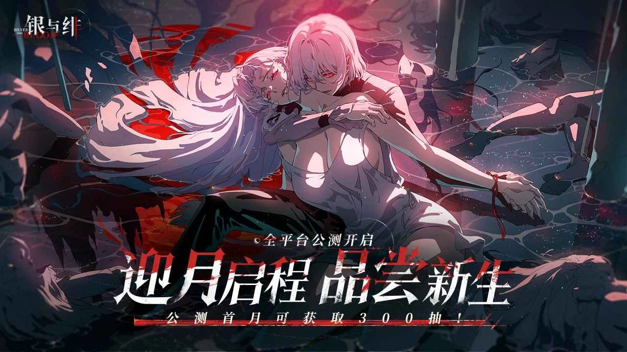 银与绯正版-图2