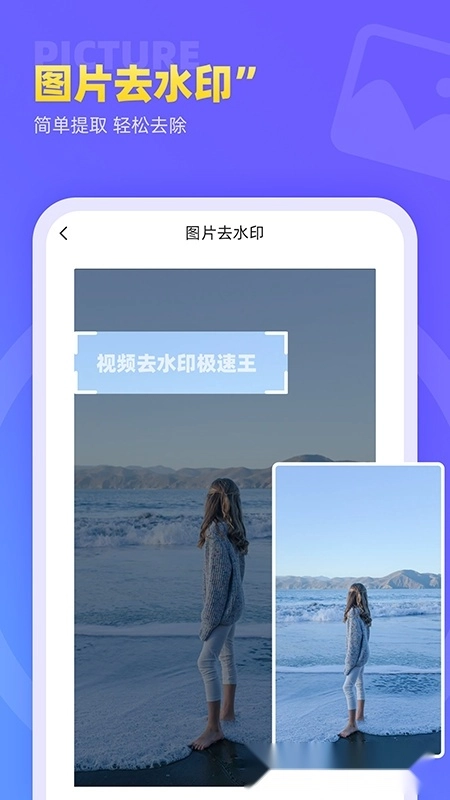 视频去水印极速王免费版
