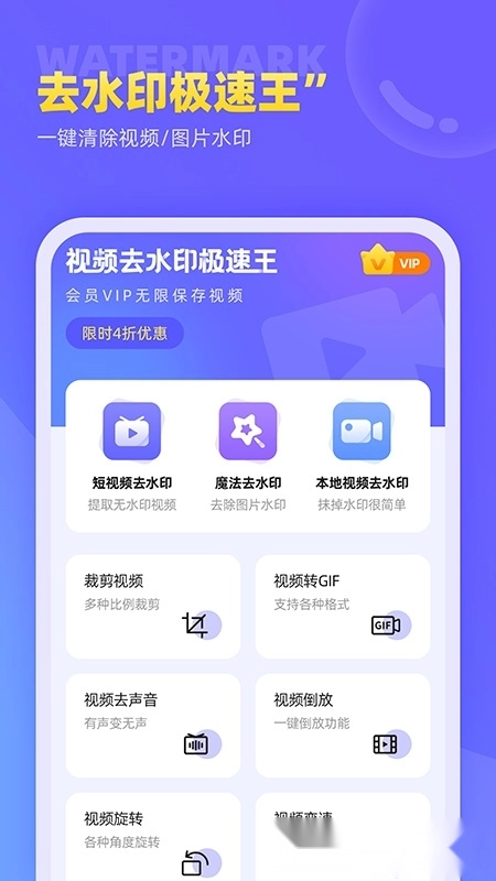 视频去水印极速王免费版