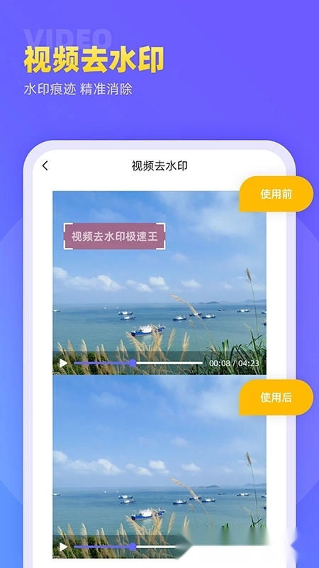 视频去水印极速王免费版