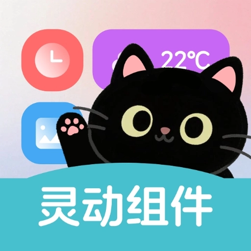 灵动皮肤小组件最新版