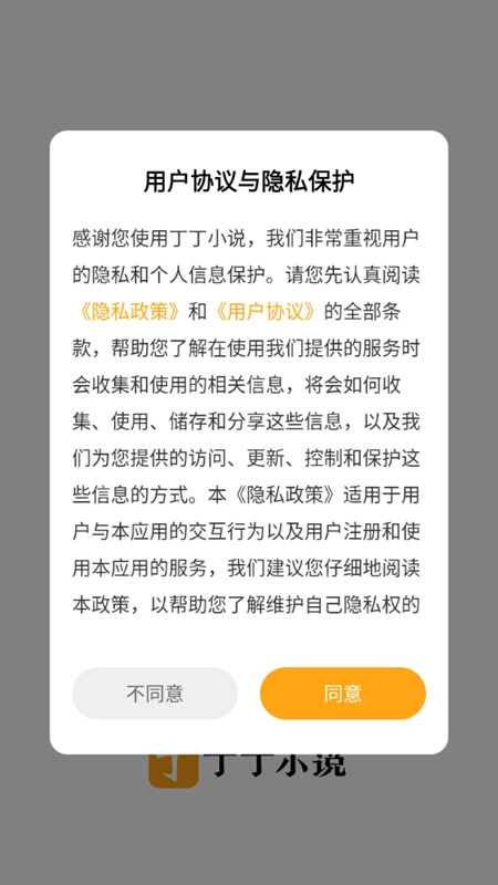 丁丁小说正版
