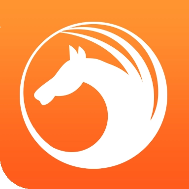 天马浏览器极速版