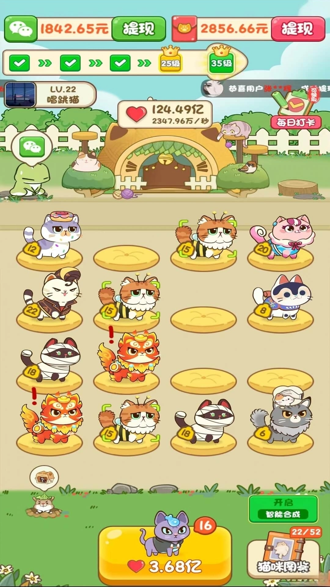 筑梦猫舍(2)