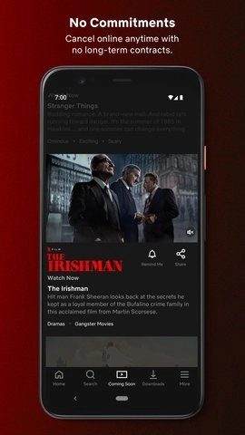 Netflix中文版图3