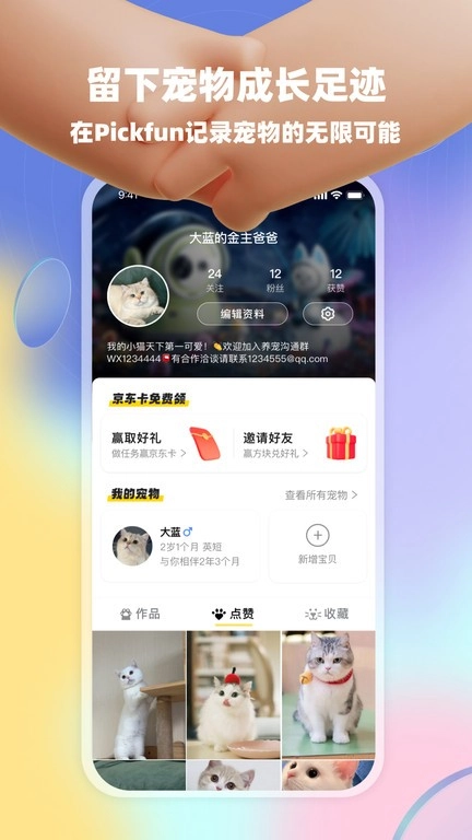 皮克方软件(3)