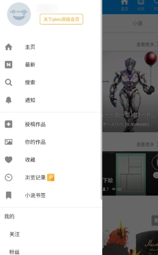 pixiv最新版(8)