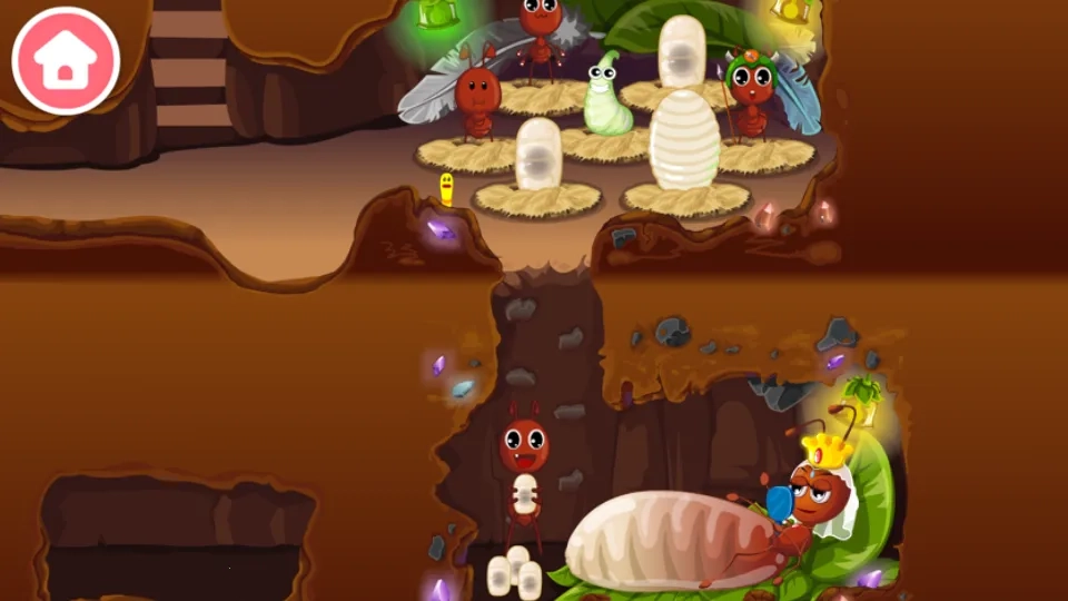 宝宝认蚂蚁(蚂蚁科普游戏)  安卓版截图1