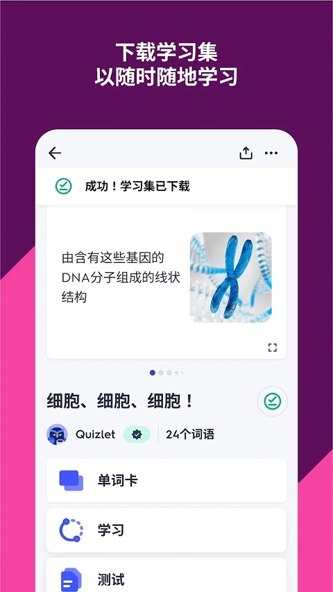 Quizlet高级付费版图2