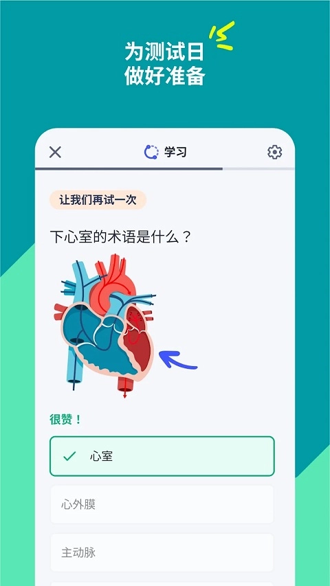 Quizlet高级付费版图3