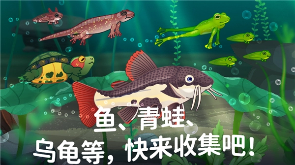 池趣图4