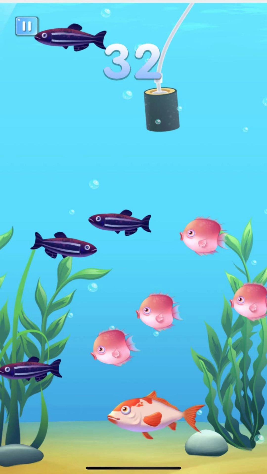 疯狂鱼宴大吃特吃