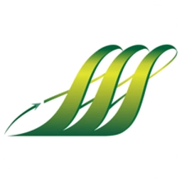 龙泉公交中文版