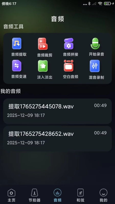 完美乐器调音器(4)