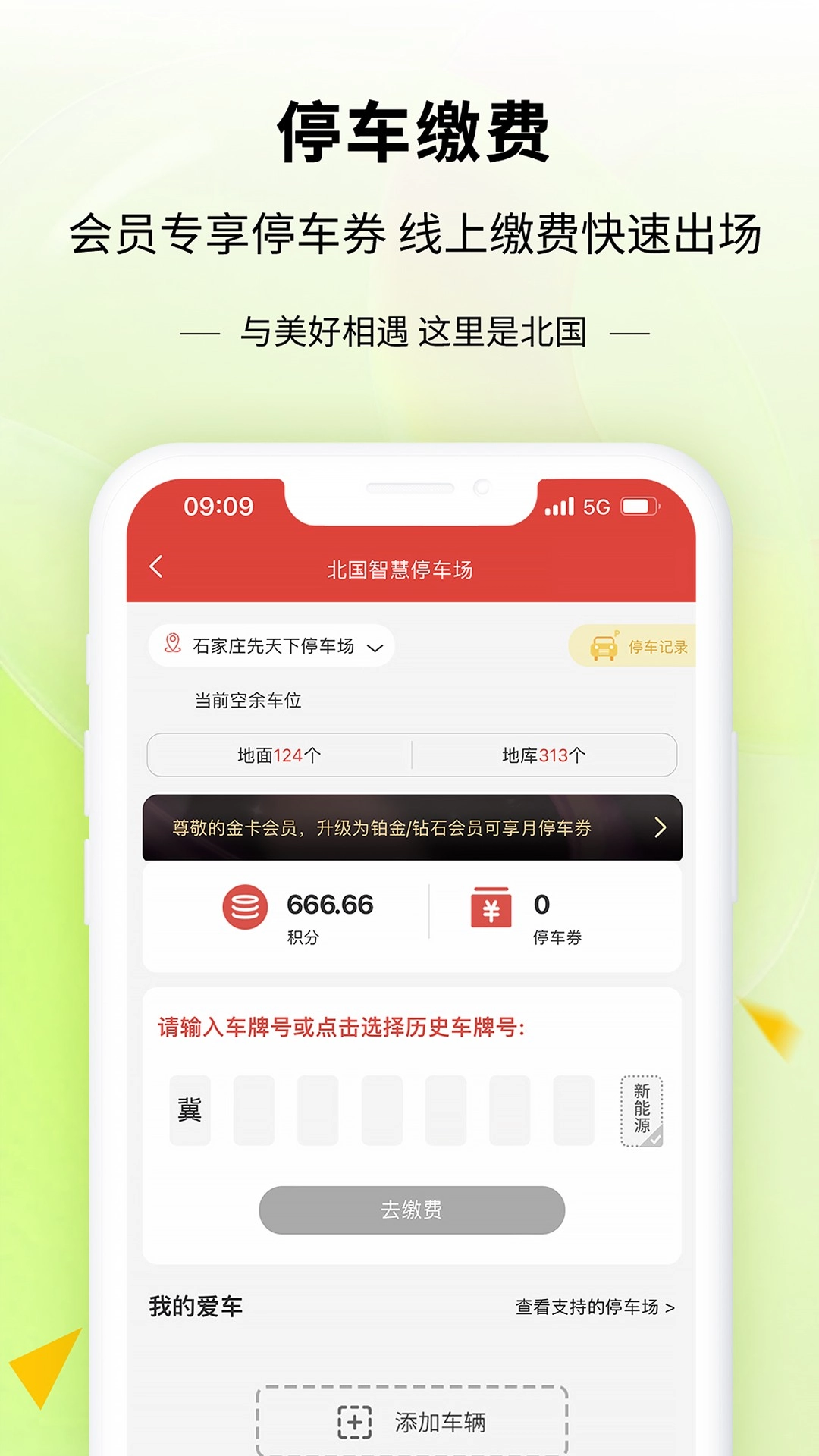 掌尚北国免费(5)