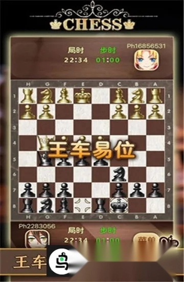 天梨国际象棋(国际象棋游戏)  手机版图5