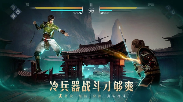 暗影格斗3(2)
