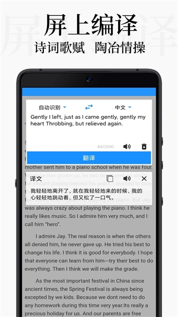 DB翻译图1