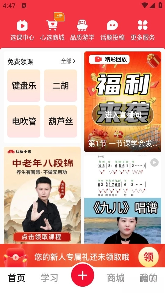 红松(1)