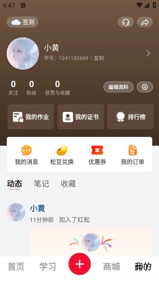 红松(4)