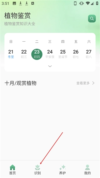 花团锦绣拾光完整版下载