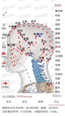 知之得芝