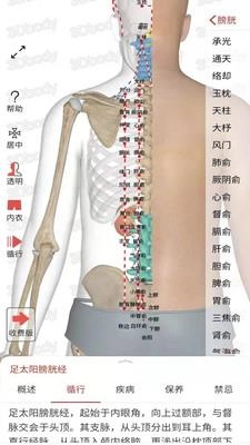 知之得芝