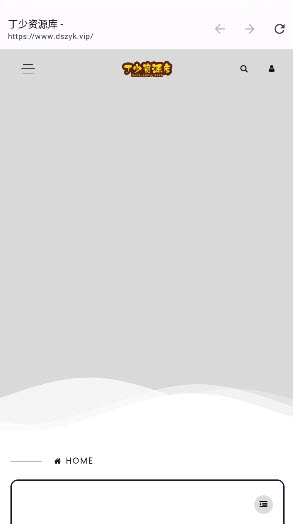 丁少资源库安卓版