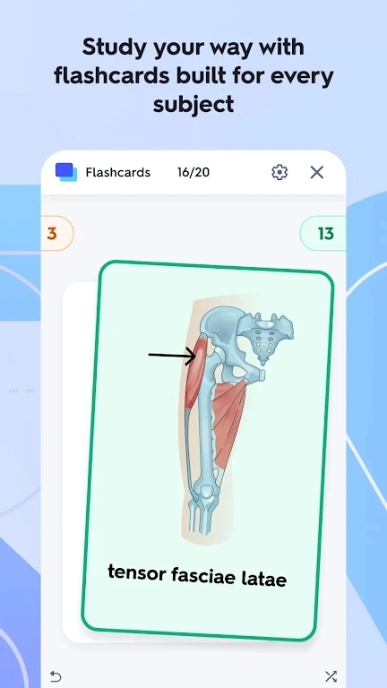 Quizlet英语免费  最新版图2