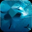 巨齿鲨模拟器