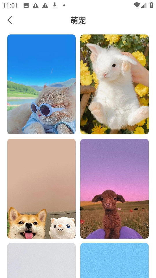 星汇壁纸高清版