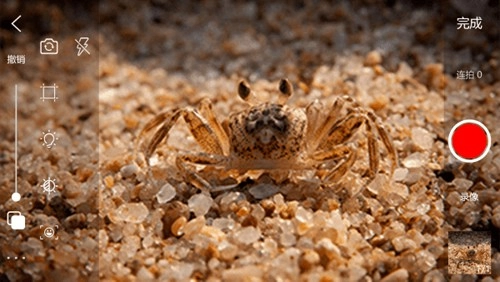 逐格光影软件图2