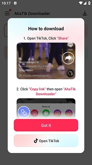 AhaTik Downloader安卓版图4