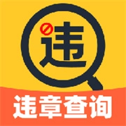 违章驾驶快查原版