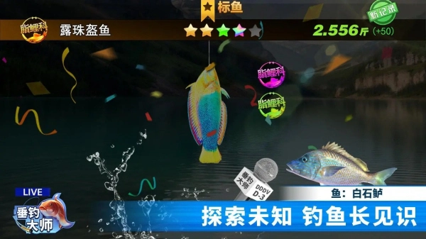 垂钓大师安卓免费版图3