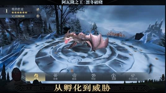 阿瓦隆之王游戏图1