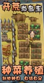 開荒當(dāng)島主游戲圖4