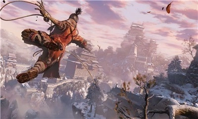 只狼图1