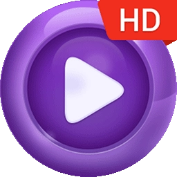 手机视频播放器