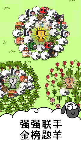鸿运洋羊安卓官方版图3