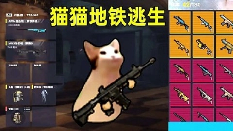 猫猫地铁逃生(2)